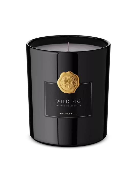 Wild Fig Scented Candle